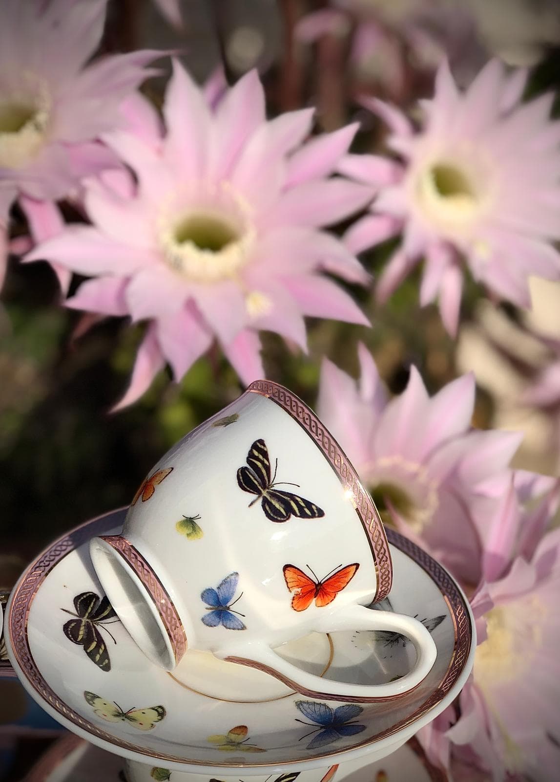 Butterfly 6'lı Kahve Fincan Seti